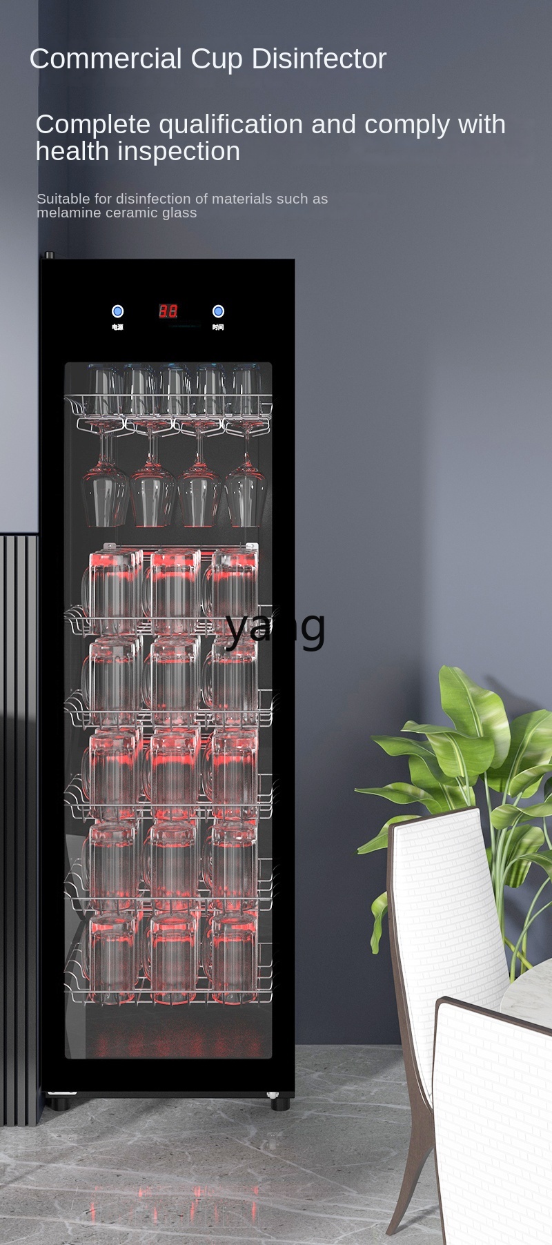 CX Großvolumige Hotel-Teehaus- – Beer & Wine Jockey Plaza Shopping Bewertung und Preis