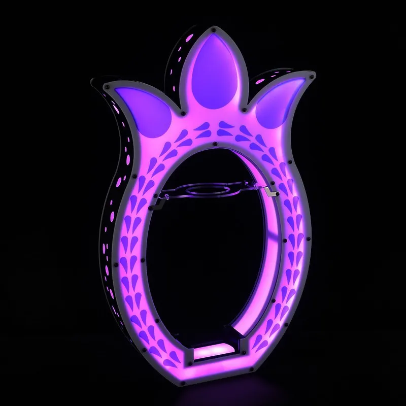 Leuchtender Weinständer, LED-R – Wine Xo Bewertung und Preis